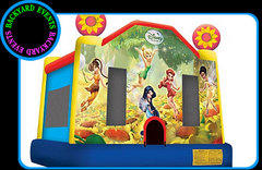 Disneys Fairies Disneys Fairies