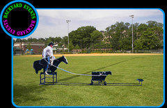 Rodeo roper Rodeo roper