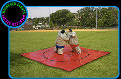 Sumo Wrestling Sumo Wrestling